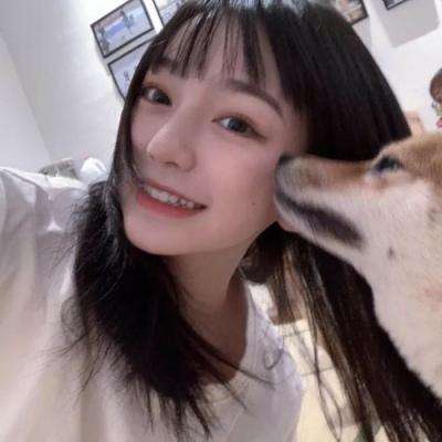 冒险之巅破解版下载